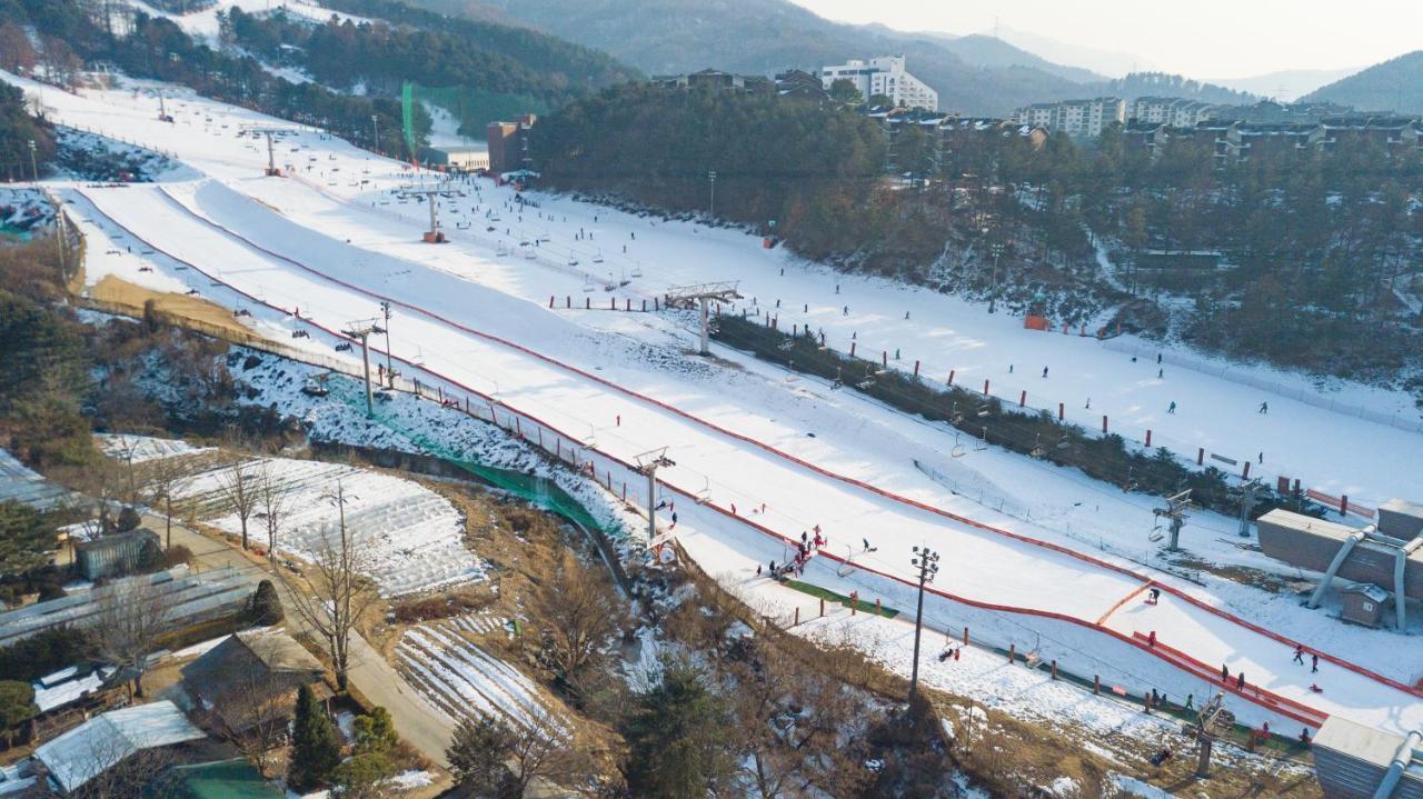 Bears Town Hotel Pocheon Luaran gambar
