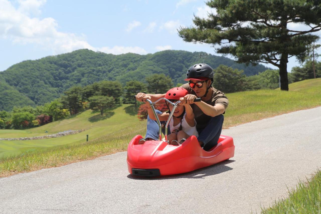 Bears Town Hotel Pocheon Luaran gambar