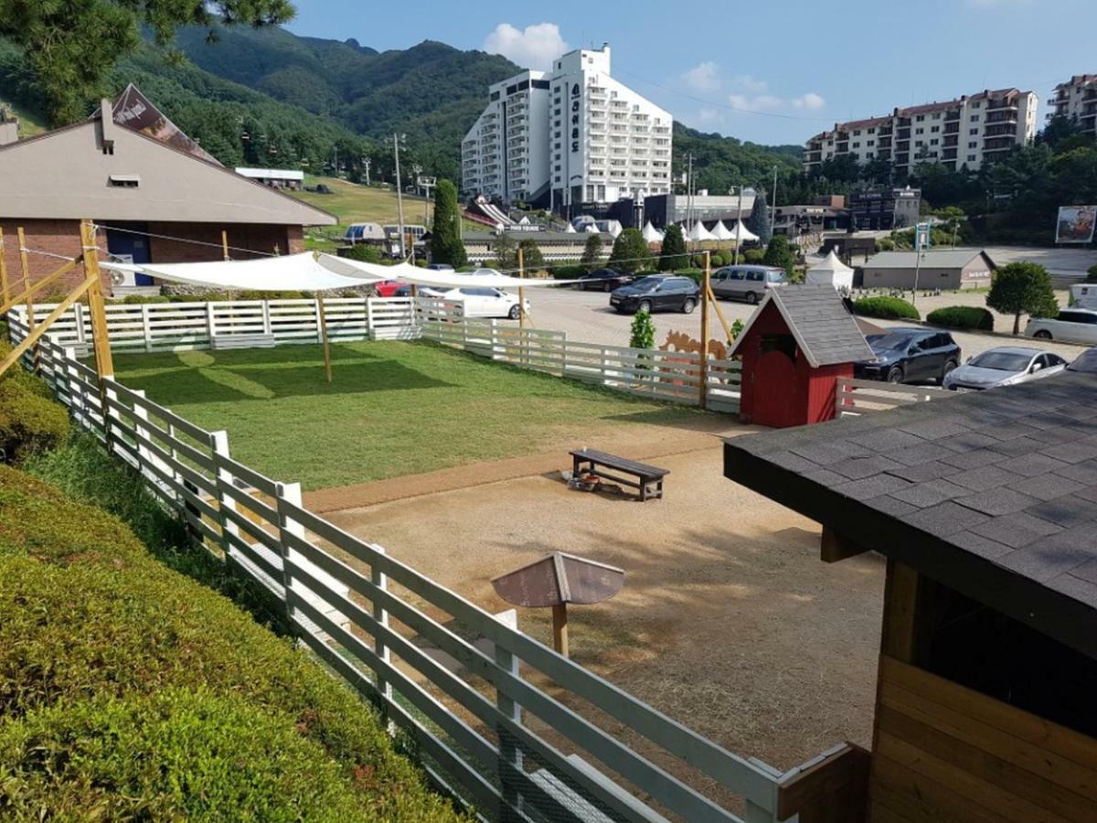 Bears Town Hotel Pocheon Luaran gambar